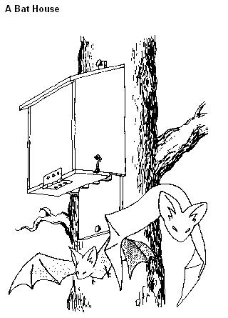 Bat Box Houses Plans